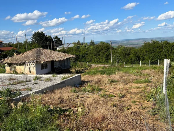 момино