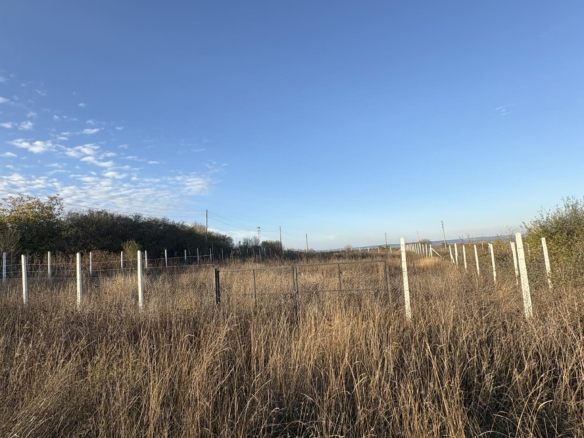 село овчарово имот стопански двор къща