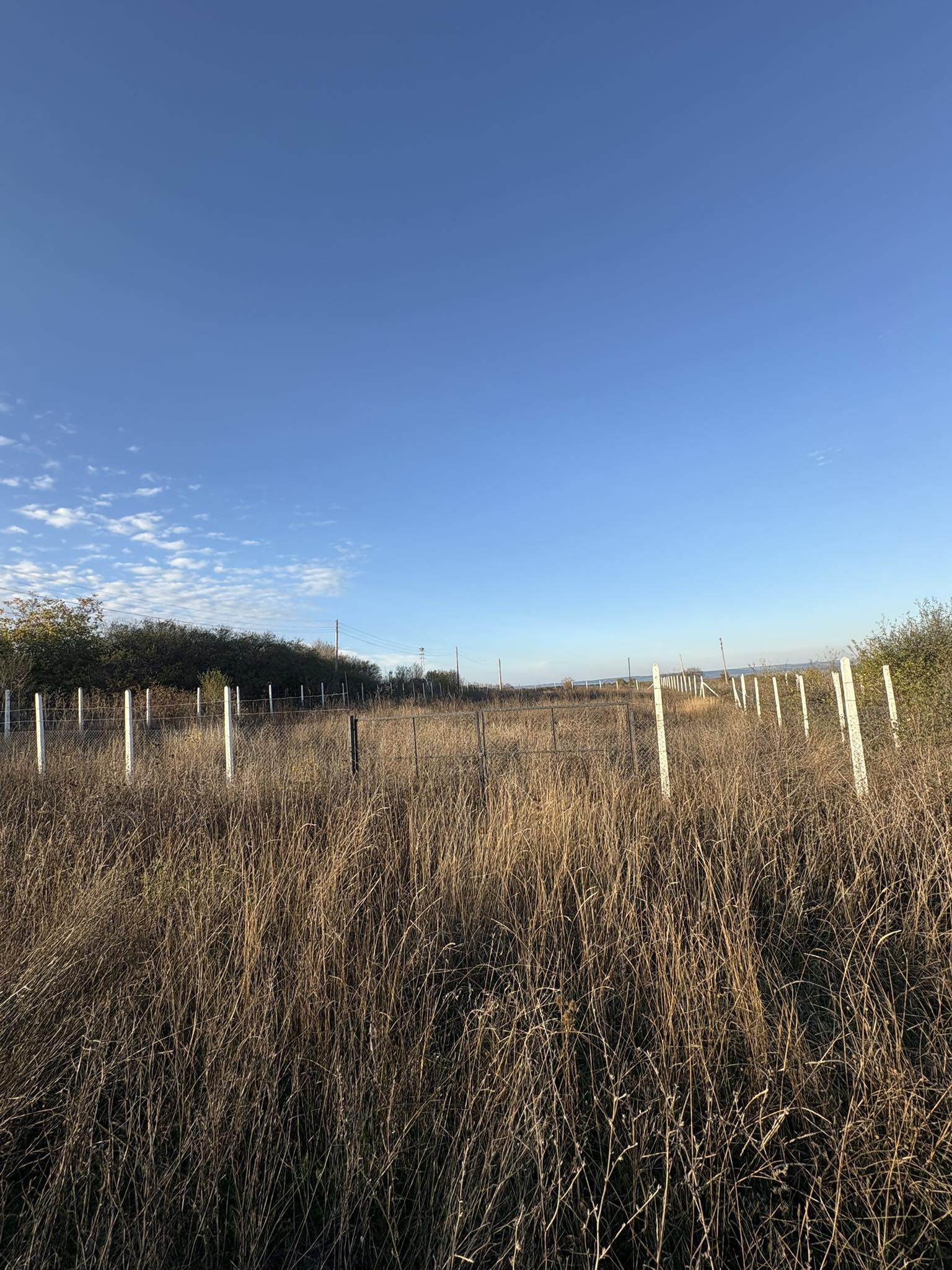 село овчарово имот стопански двор къща